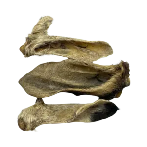 geitenoren met haar