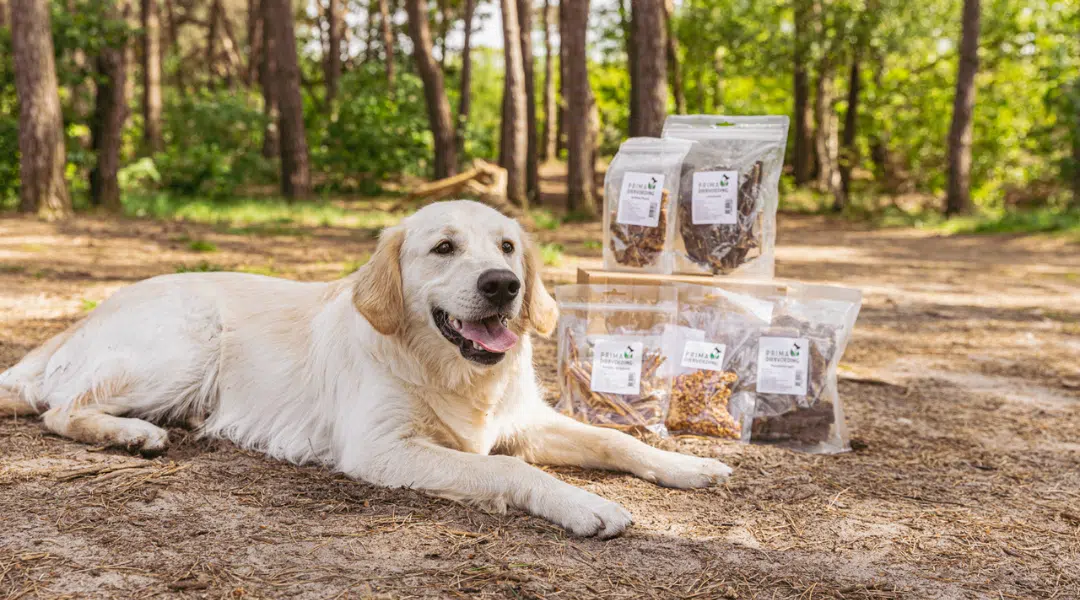 Prima Kauwbox middelgrote honden