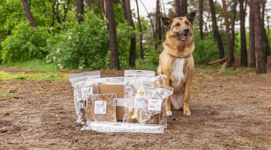 Prima Kauwbox grote honden