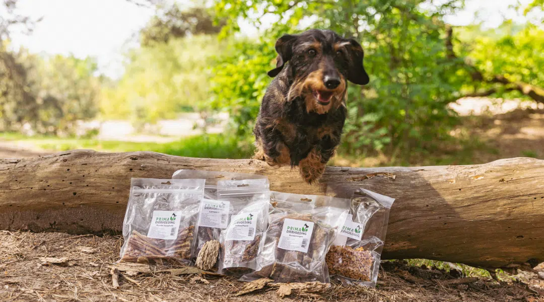 Prima Kauwbox kleine honden en puppy's