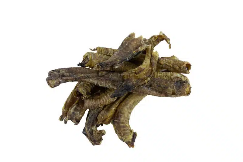 lamsluchtpijp