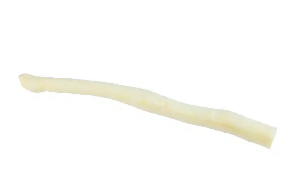ossenstaart