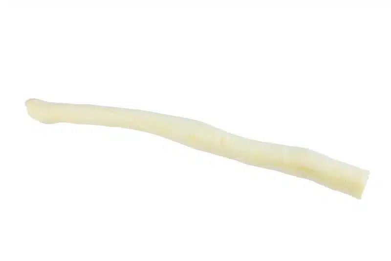 ossenstaart