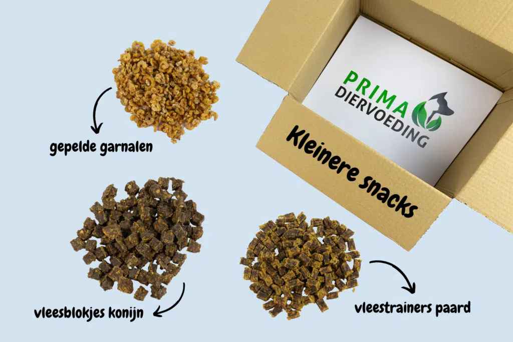 small en puppy box kleinere snacks