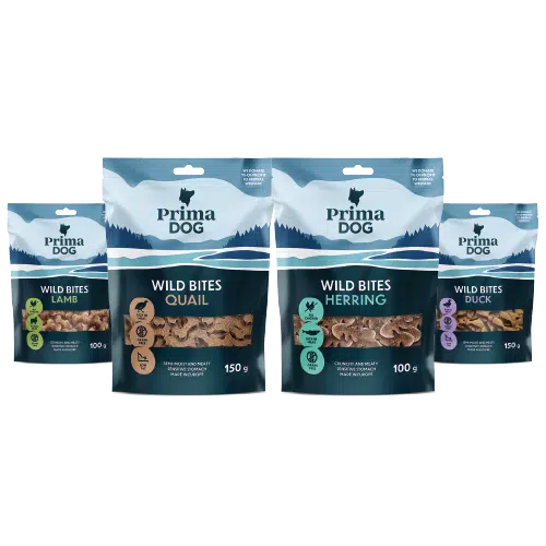 Hondensnacks