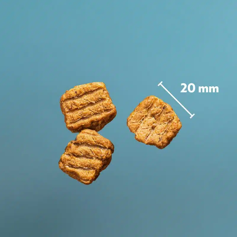 PrimaDog Northern Treats Bites Kalkoen voor Puppies & Training 150 gram - Afbeelding 2