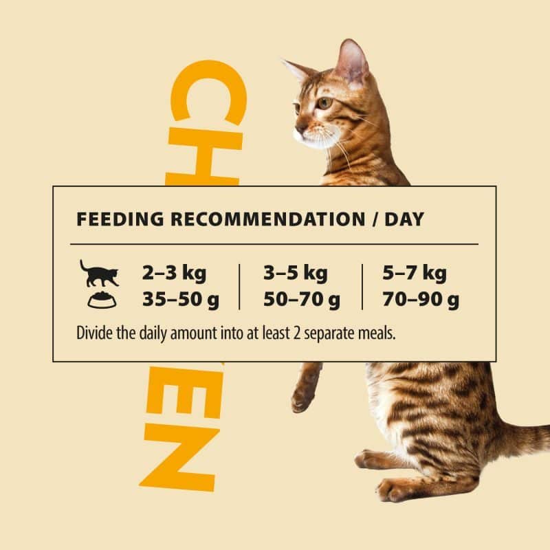 PrimaCat graanvrij kattenvoer kip 400 gram - Afbeelding 5