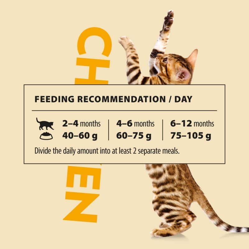 PrimaCat Kattenvoer Kitten Kip 400 gram - Afbeelding 4