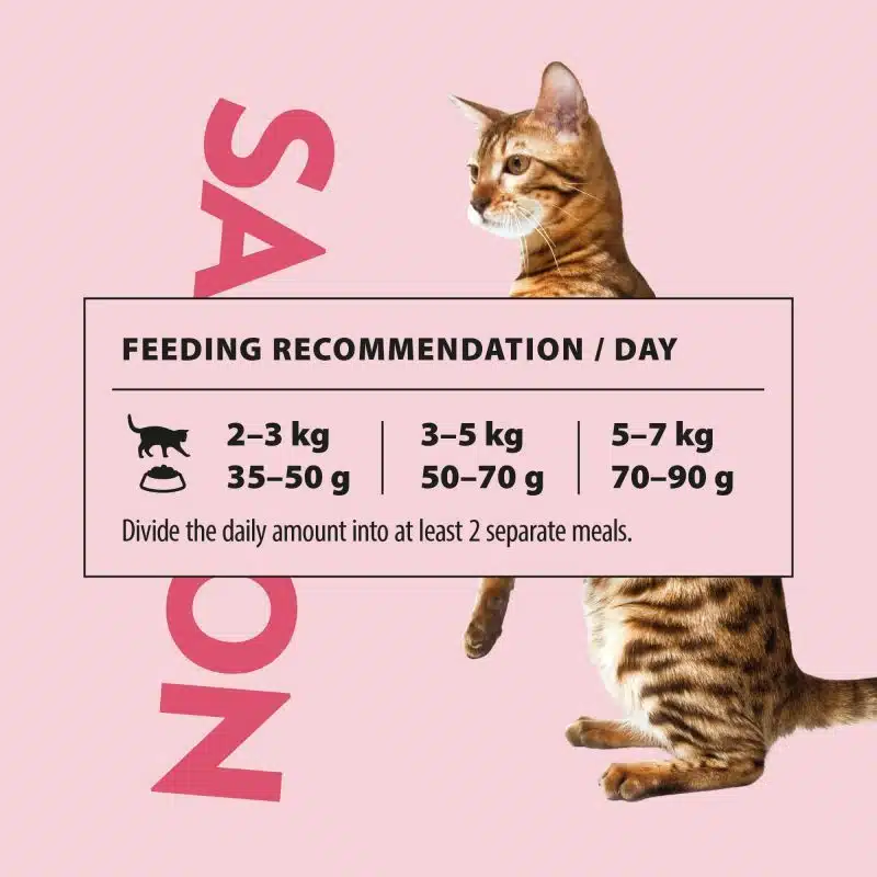 PrimaCat Zalm Indoor Adult 400 gram - Afbeelding 3