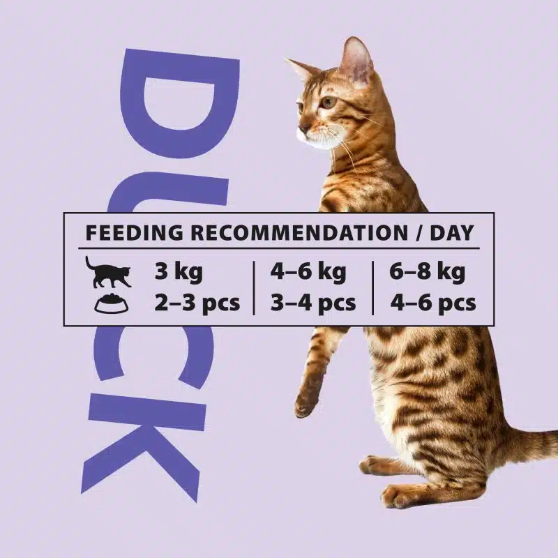 PrimaCat natvoer eend in jus 85 gram - Afbeelding 2