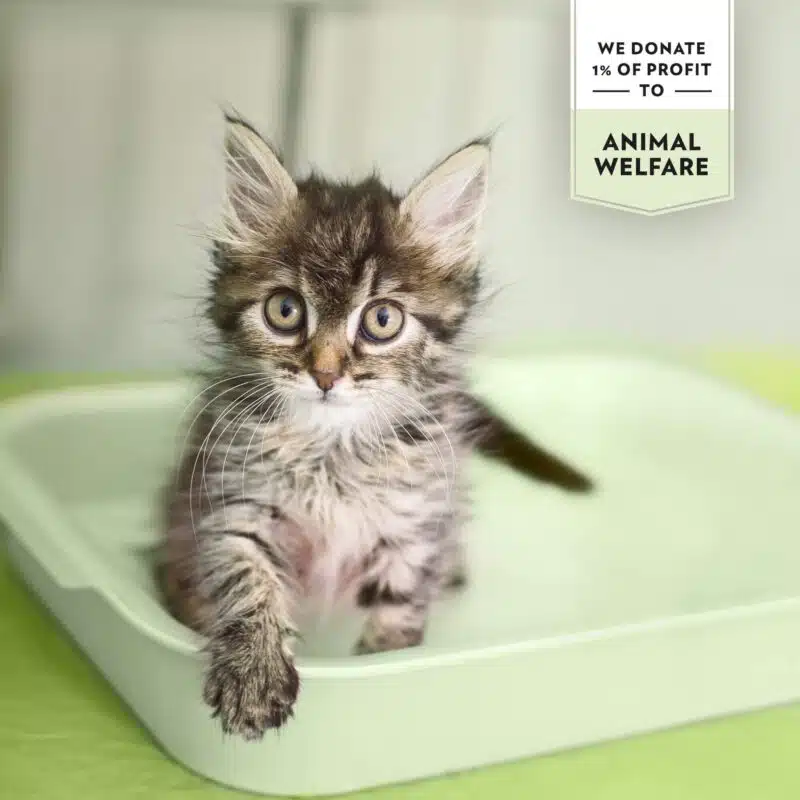 PrimaCat groene appel kattenbakvulling wit 5L - Afbeelding 3