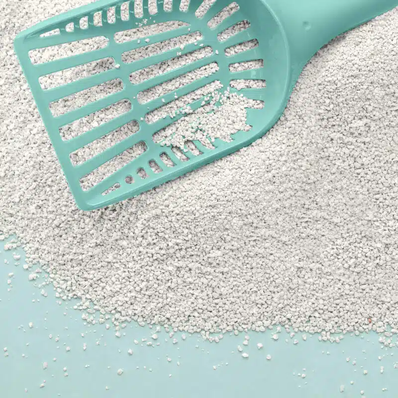 PrimaCat ongeparfumeerde kattenbakvulling wit 5L - Afbeelding 2